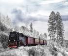 Поезда, проходящие через красивый зимний пейзаж